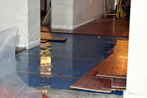 Professional Basement Flooding technician working in Newark, AR